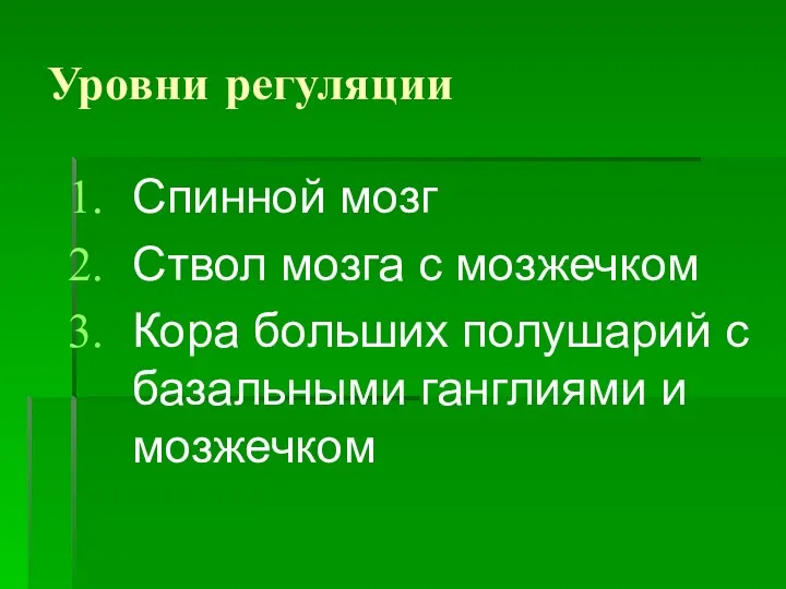 Уровни регуляции Спинной мозг Ствол мозга с мозжечком Кора больших полушарий с базальными ганглиями и мозжечком