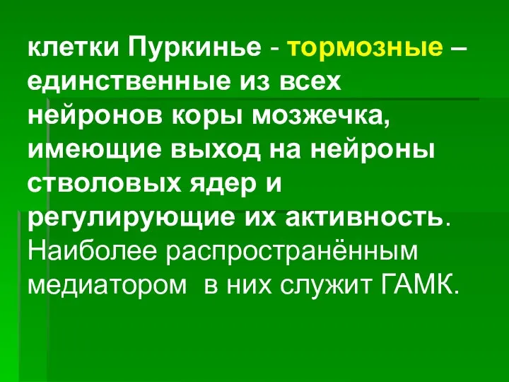 клетки Пуркинье - тормозные – единственные из всех нейронов коры мозжечка,