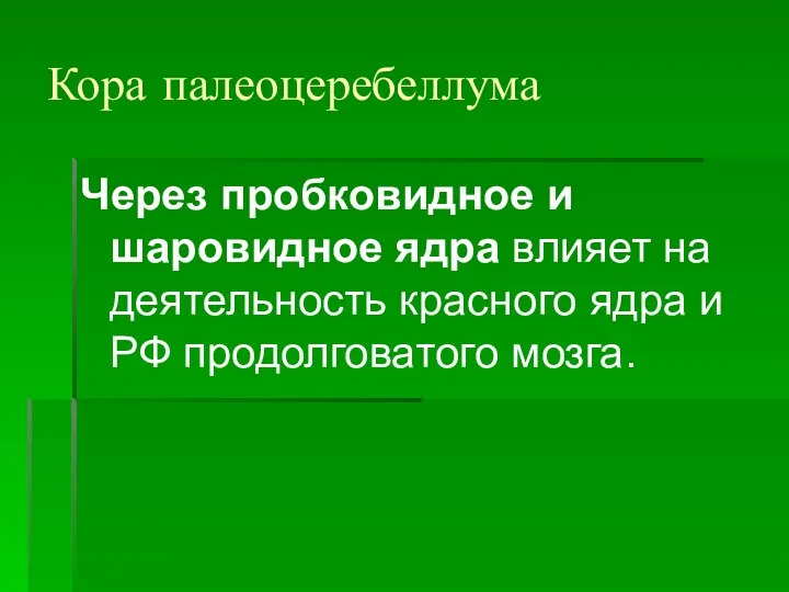 Кора палеоцеребеллума Через пробковидное и шаровидное ядра влияет на деятельность красного ядра и РФ продолговатого мозга.