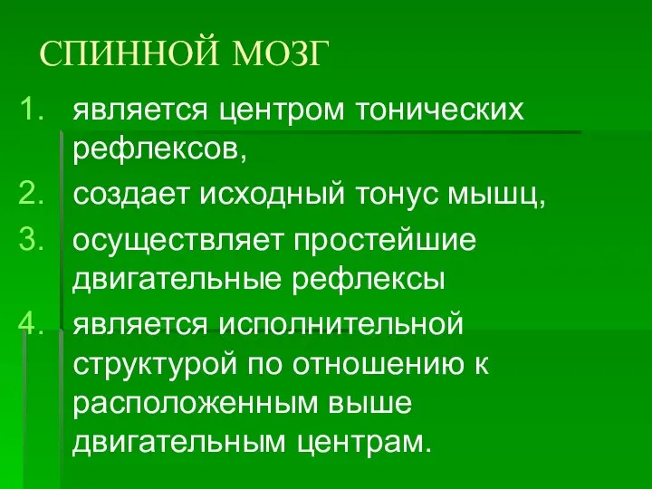 СПИННОЙ МОЗГ является центром тонических рефлексов, создает исходный тонус мышц, осуществляет