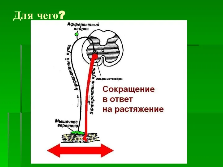 Для чего?