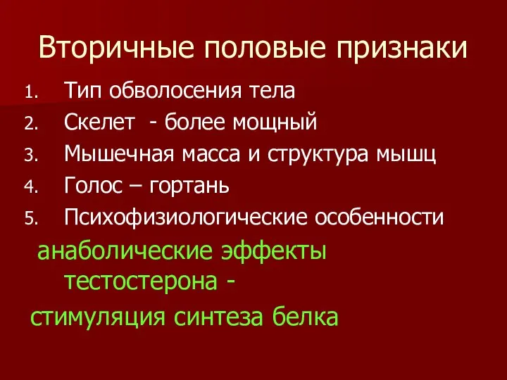 Вторичные половые признаки Тип обволосения тела Скелет - более мощный Мышечная