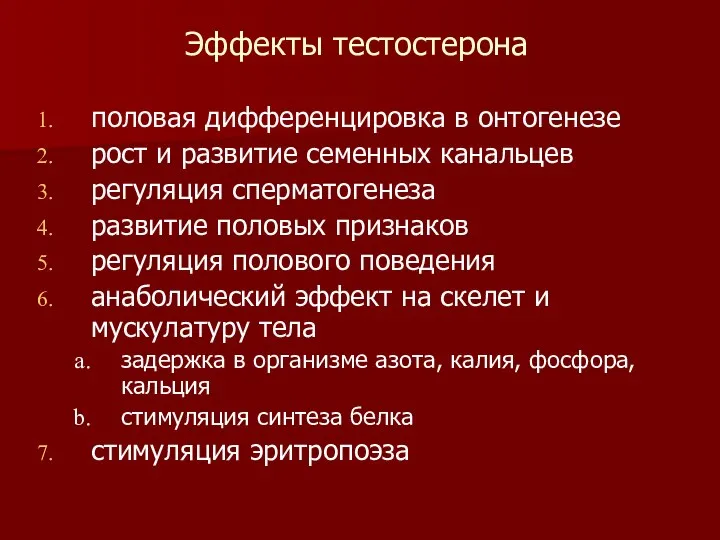 Эффекты тестостерона половая дифференцировка в онтогенезе рост и развитие семенных канальцев