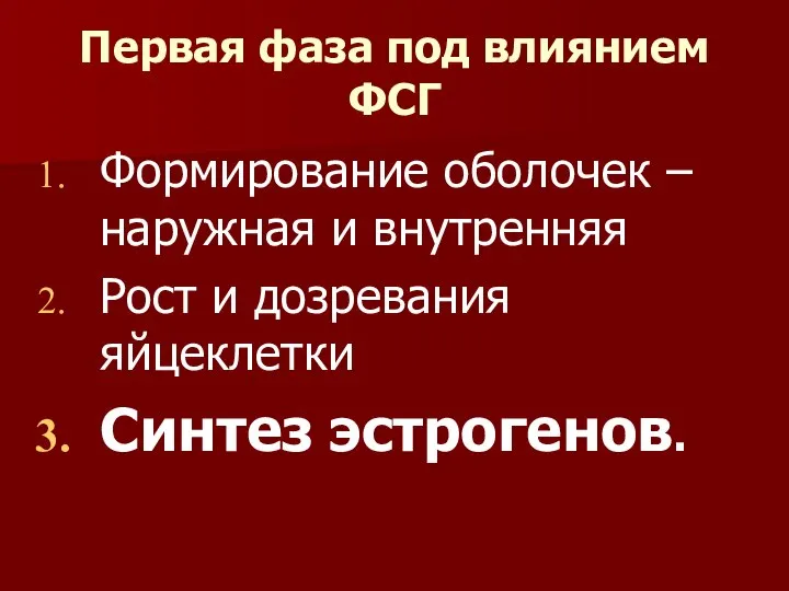 Первая фаза под влиянием ФСГ Формирование оболочек – наружная и внутренняя