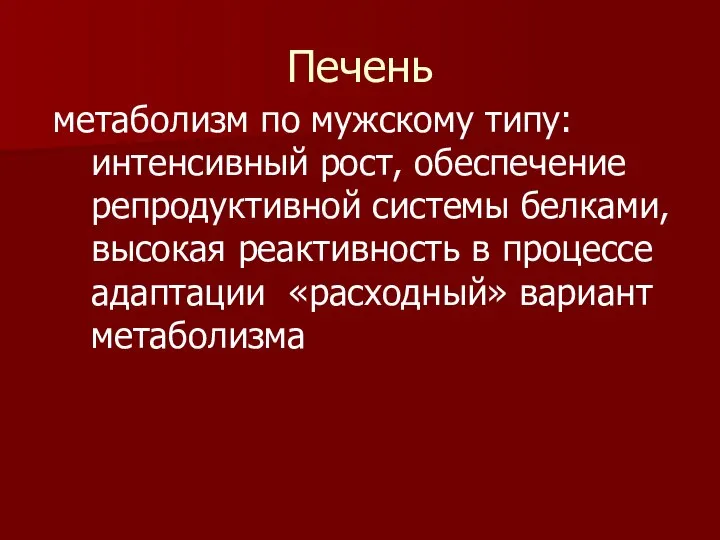 Печень метаболизм по мужскому типу: интенсивный рост, обеспечение репродуктивной системы белками,