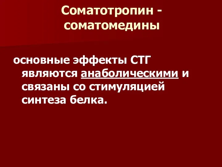 Соматотропин - соматомедины основные эффекты СТГ являются анаболическими и связаны со стимуляцией синтеза белка.