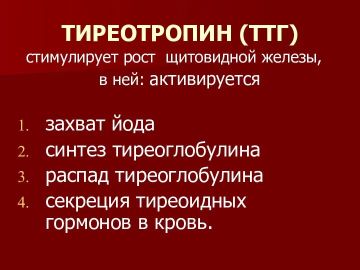 ТИРЕОТРОПИН (ТТГ) стимулирует рост щитовидной железы, в ней: активируется захват йода