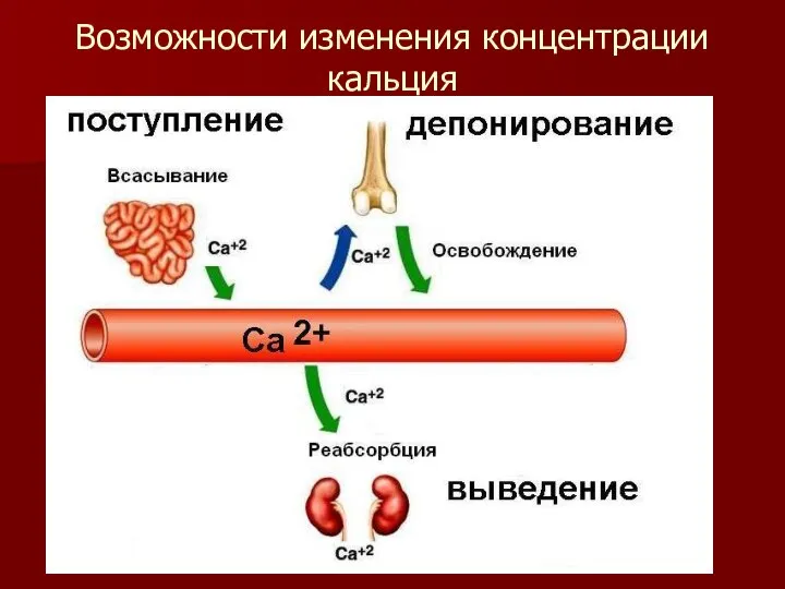 Возможности изменения концентрации кальция