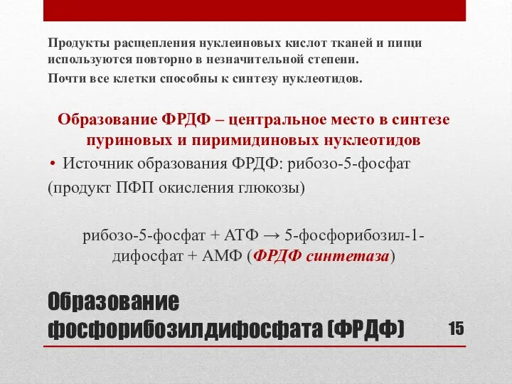 Образование фосфорибозилдифосфата (ФРДФ) Продукты расщепления нуклеиновых кислот тканей и пищи используются