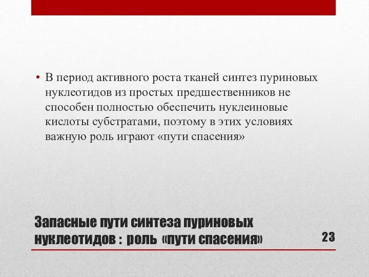 Запасные пути синтеза пуриновых нуклеотидов : роль «пути спасения» В период