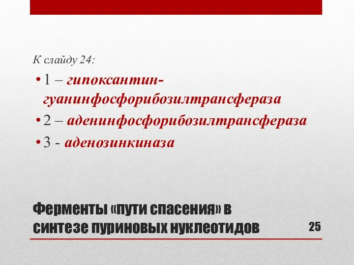 Ферменты «пути спасения» в синтезе пуриновых нуклеотидов К слайду 24: 1