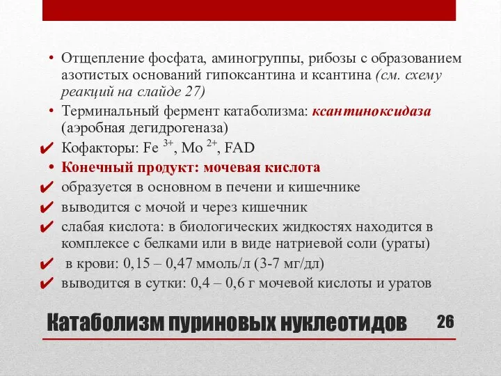 Катаболизм пуриновых нуклеотидов Отщепление фосфата, аминогруппы, рибозы с образованием азотистых оснований