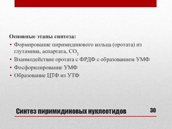 Синтез пиримидиновых нуклеотидов Основные этапы синтеза: Формирование пиримидинового кольца (оротата) из