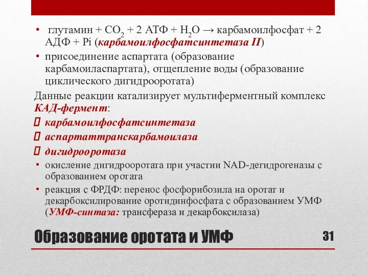 Образование оротата и УМФ глутамин + СО2 + 2 АТФ +