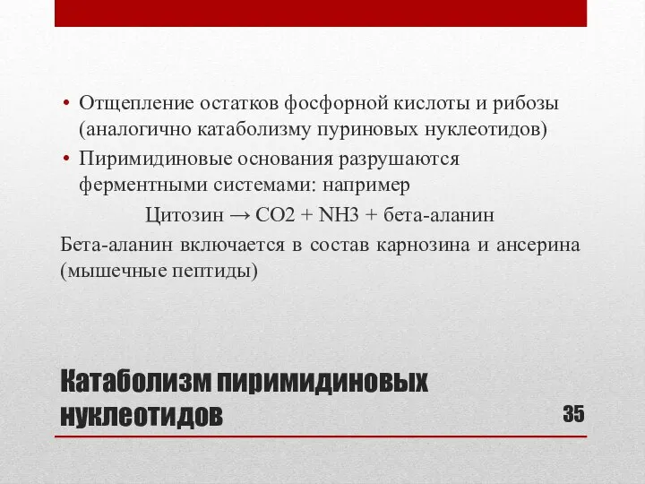 Катаболизм пиримидиновых нуклеотидов Отщепление остатков фосфорной кислоты и рибозы (аналогично катаболизму