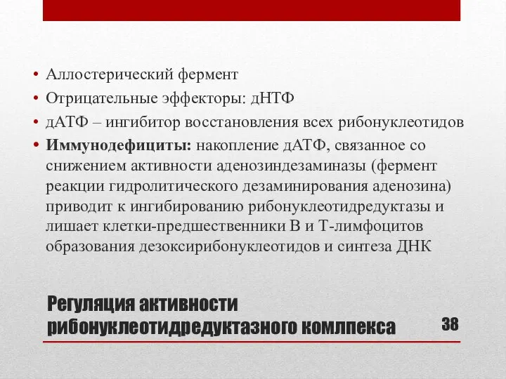 Регуляция активности рибонуклеотидредуктазного комлпекса Аллостерический фермент Отрицательные эффекторы: дНТФ дАТФ –