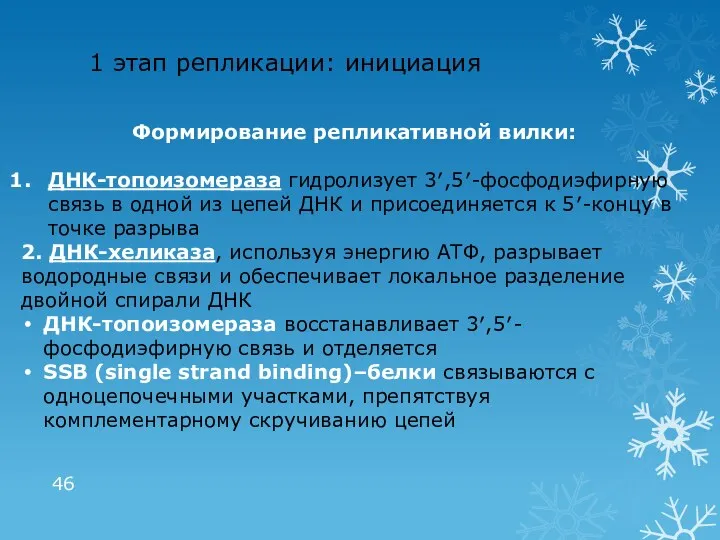 1 этап репликации: инициация Формирование репликативной вилки: ДНК-топоизомераза гидролизует 3′,5′-фосфодиэфирную связь