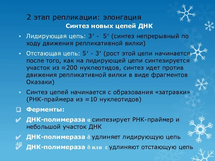 2 этап репликации: элонгация Синтез новых цепей ДНК Лидирующая цепь: 3′