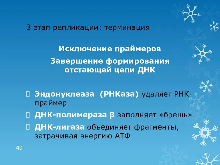 3 этап репликации: терминация Исключение праймеров Завершение формирования отстающей цепи ДНК