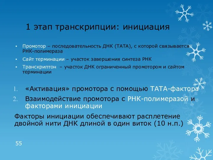 1 этап транскрипции: инициация Промотор – последовательность ДНК (ТАТА), с которой