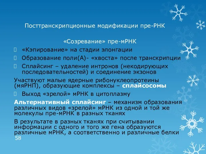 Посттранскрипционные модификации пре-РНК «Созревание» пре-мРНК «Кэпирование» на стадии элонгации Образование поли(А)-