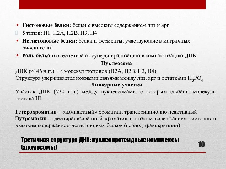 Третичная структура ДНК: нуклеопротеидные комплексы (хромосомы) Гистоновые белки: белки с высоким