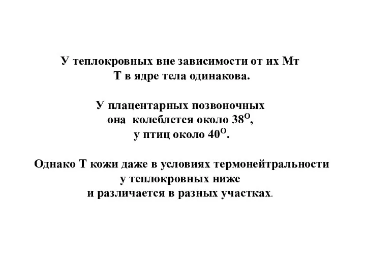 У теплокровных вне зависимости от их Мт Т в ядре тела