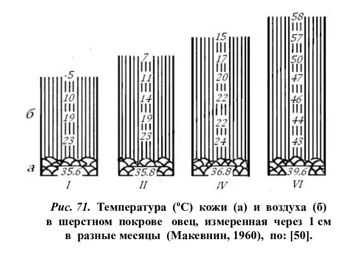 Рис. 71. Температура (оС) кожи (а) и воздуха (б) в шерстном