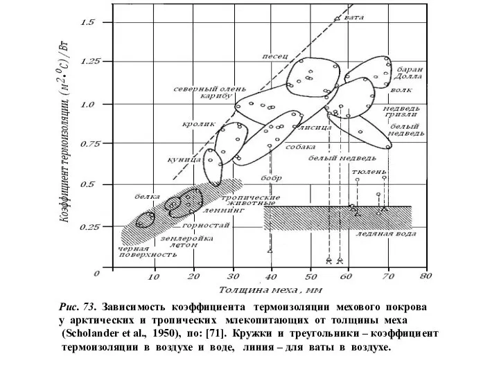 Рис. 73. Зависимость коэффициента термоизоляции мехового покрова у арктических и тропических