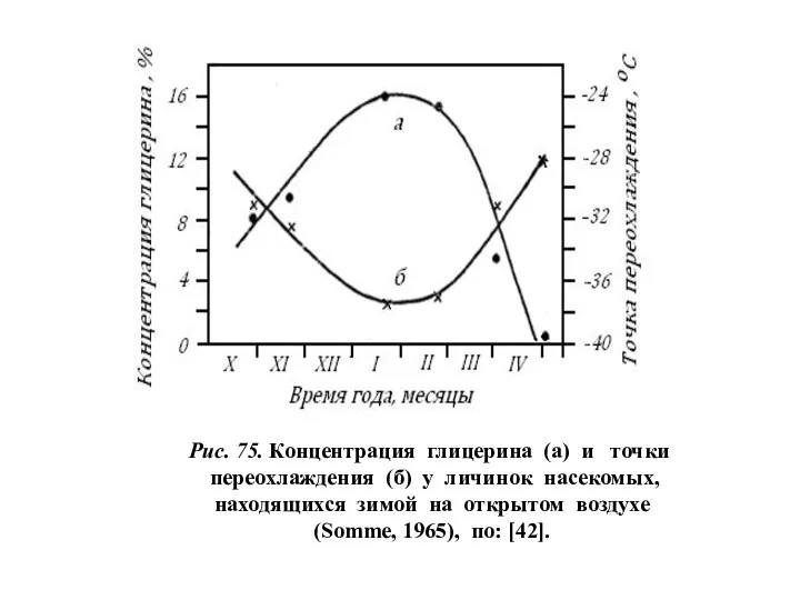 Рис. 75. Концентрация глицерина (а) и точки переохлаждения (б) у личинок