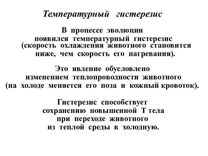 Температурный гистерезис В процессе эволюции появился температурный гистерезис (скорость охлаждения животного