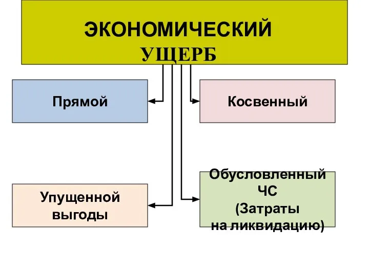 ЭКОНОМИЧЕСКИЙ УЩЕРБ Прямой Упущенной выгоды Обусловленный ЧС (Затраты на ликвидацию) Косвенный