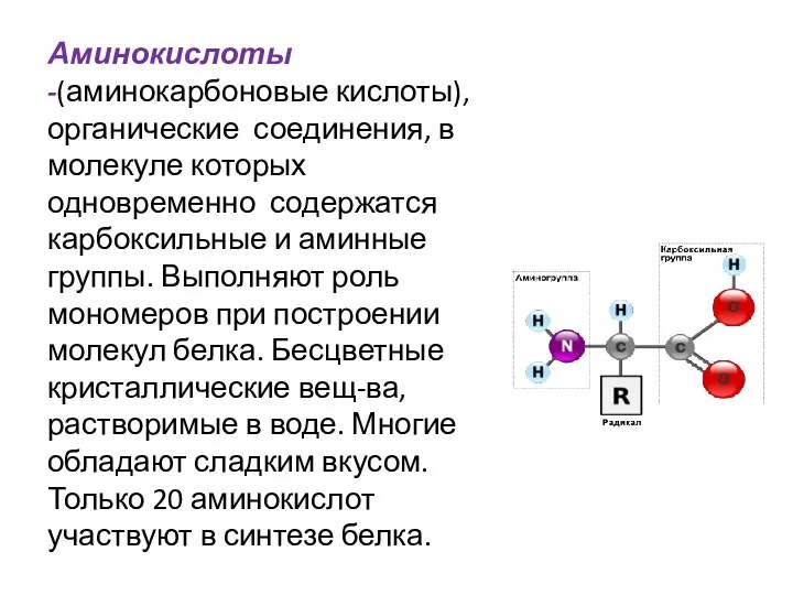 Аминокислоты -(аминокарбоновые кислоты), органические соединения, в молекуле которых одновременно содержатся карбоксильные