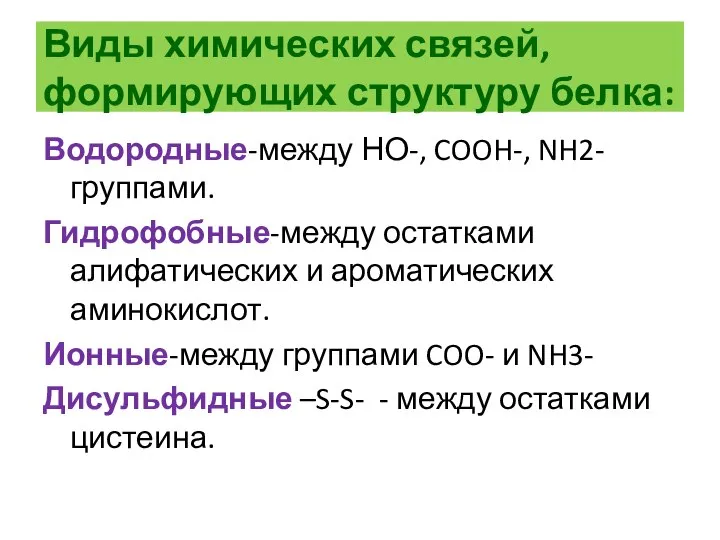 Виды химических связей, формирующих структуру белка: Водородные-между НО-, COOH-, NH2- группами.