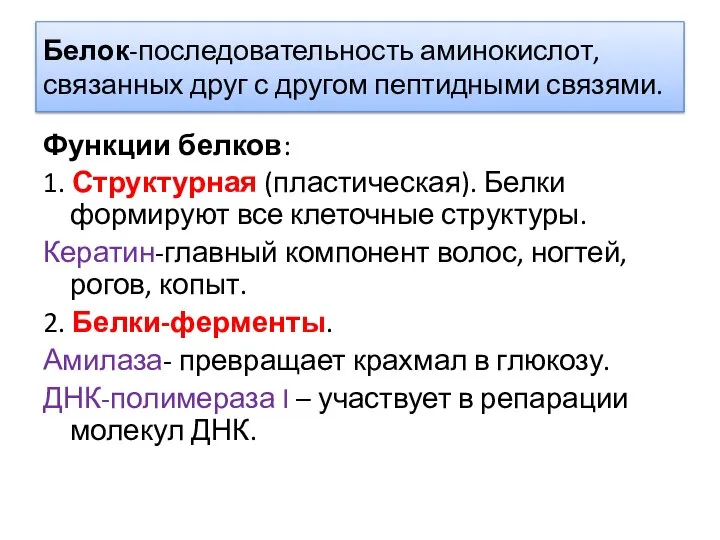 Белок-последовательность аминокислот, связанных друг с другом пептидными связями. Функции белков: 1.