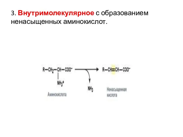 3. Внутримолекулярное с образованием ненасыщенных аминокислот.