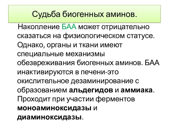 Судьба биогенных аминов. Накопление БАА может отрицательно сказаться на физиологическом статусе.