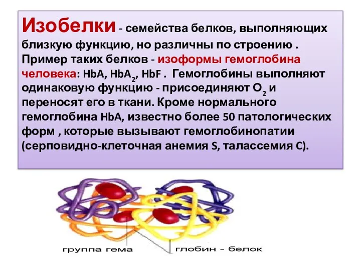 Изобелки - семейства белков, выполняющих близкую функцию, но различны по строению