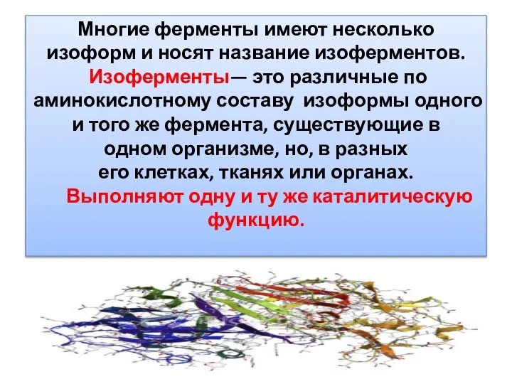 Многие ферменты имеют несколько изоформ и носят название изоферментов. Изоферменты— это