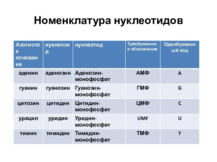 Номенклатура нуклеотидов