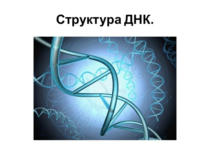 Структура ДНК.