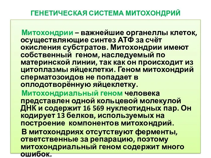 ГЕНЕТИЧЕСКАЯ СИСТЕМА МИТОХОНДРИЙ Митохондрии – важнейшие органеллы клеток, осуществляющие синтез АТФ