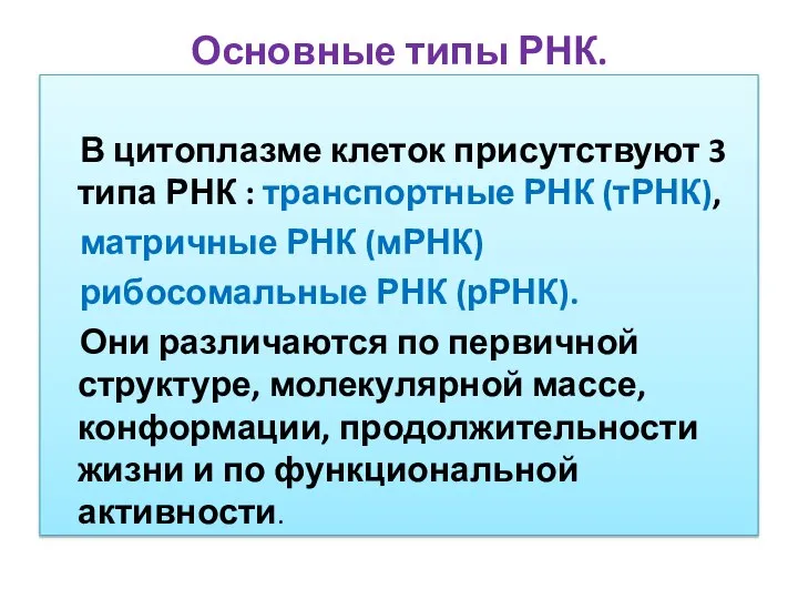 Основные типы РНК. В цитоплазме клеток присутствуют 3 типа РНК :