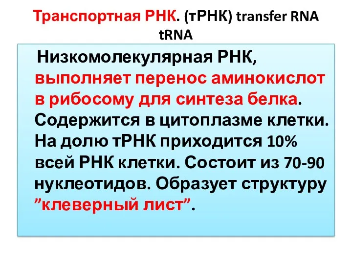 Транспортная РНК. (тРНК) transfer RNA tRNA Низкомолекулярная РНК, выполняет перенос аминокислот