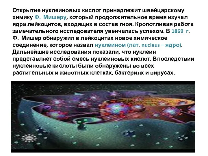 Открытие нуклеиновых кислот принадлежит швейцарскому химику Ф. Мишеру, который продолжительное время