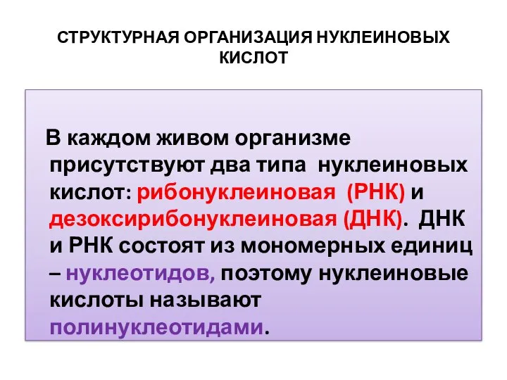 СТРУКТУРНАЯ ОРГАНИЗАЦИЯ НУКЛЕИНОВЫХ КИСЛОТ В каждом живом организме присутствуют два типа