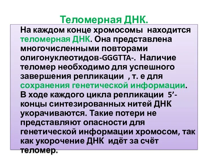 Теломерная ДНК. На каждом конце хромосомы находится теломерная ДНК. Она представлена