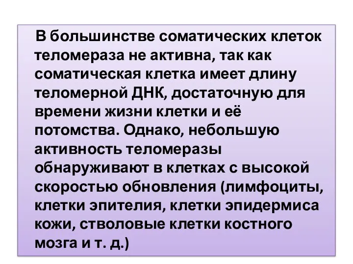 В большинстве соматических клеток теломераза не активна, так как соматическая клетка