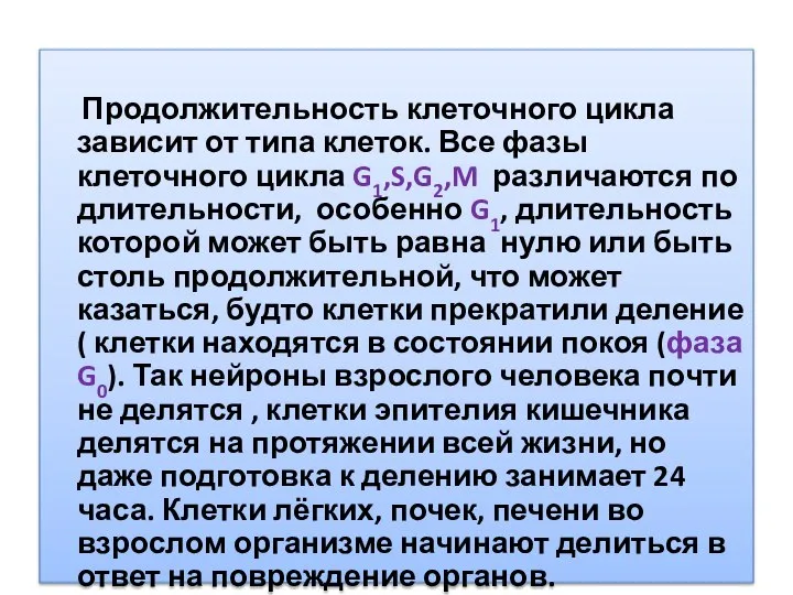 Продолжительность клеточного цикла зависит от типа клеток. Все фазы клеточного цикла