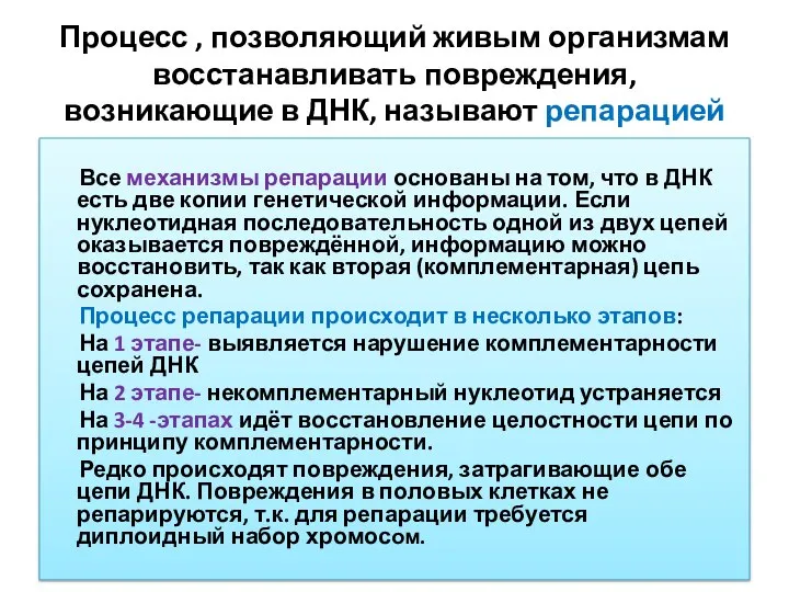 Процесс , позволяющий живым организмам восстанавливать повреждения, возникающие в ДНК, называют